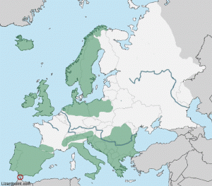 Europe Physical Map Quiz 