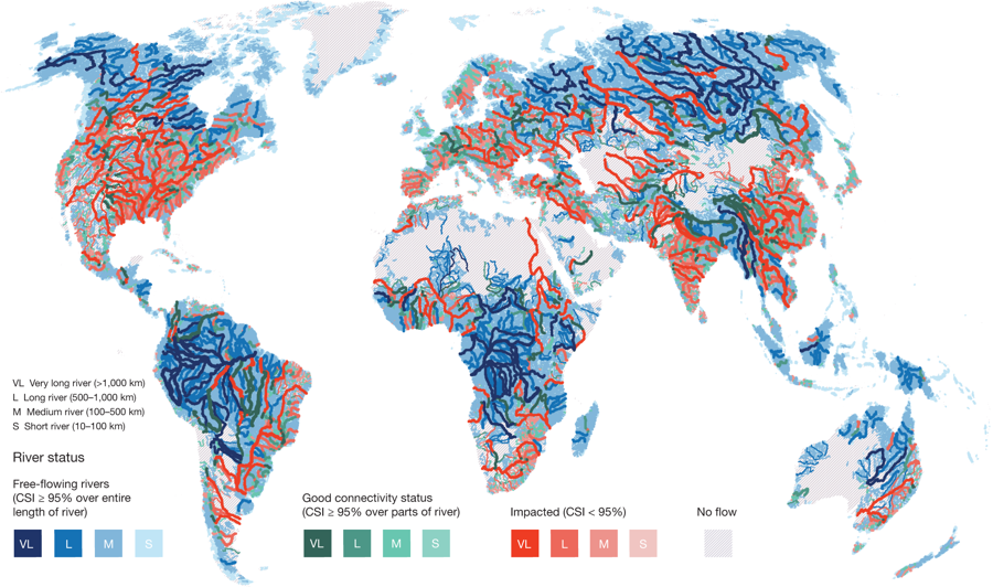 World River Map Outline