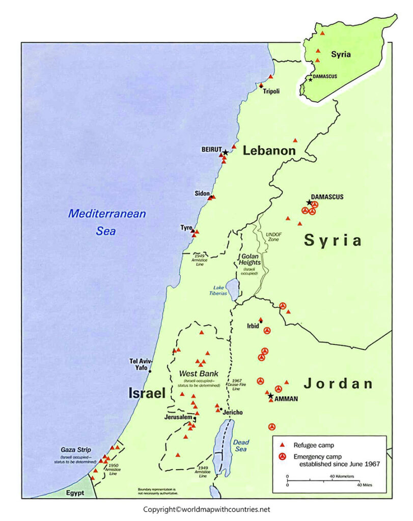 Palestine State Map with States